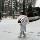 하기세탁 | 다이소 얼룩제거제 추천 피 흰옷 과일 옷 얼룩지우는법 겨울 패딩세탁 사용후기