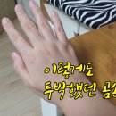 곰손아트