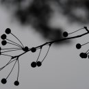 양평-용문-용문-4 이미지