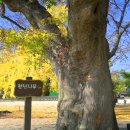 장현1리 마을회관 이미지