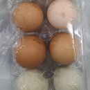 미정식당 티스토리
