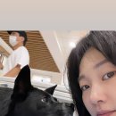 봄날의 강아지 이미지