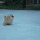 구두다방 이미지
