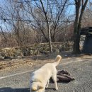 도구로1길 61 이미지