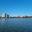 녹양한의원 | [혜윰일상] 녹양구이 과정 마식계 + 잘못 보낸 택배 찾기 수난기📦