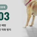 스마트 정형외과 신경외과 동물병원 이미지