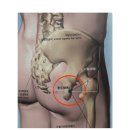 경희 고성 한의원 이미지