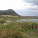 금호강영천 이미지