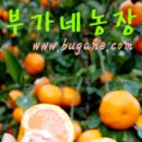 빵농장