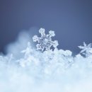 원주스노우의원 이미지