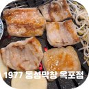 돌미상업로 | 대구 옥포 막창 맛집 1977 동성막창 옥포점 찐추천!