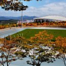 월드컵보조경기장 이미지