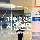 봄봄신음점 | 임신 10개월 39주6일 막달임산부 자연분만 출산 후기 : 셋째맘 경산모 배뭉침 새벽 진통 관장 제모 내진...