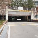 디자인시티블루밍 이미지