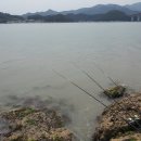 소안면-3 이미지