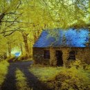 숲속 작은집 이미지