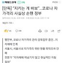 단독] “지키는 게 바보”…코로나 자가격리 사실상 손뗀 정부 이미지