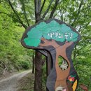천년뿌리인삼튀김 이미지
