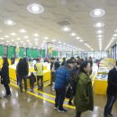 일산수산물시장