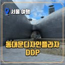 24guesthouse동대문마켓점 | 동대문디자인플라자 DDP 완전정복! 서울 실내여행지 베스트 스팟