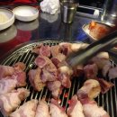 제주명돼지 - 47636 | 제주명돼지