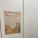 고양이랑 | 은평구 놀거리 놀면묘하냥 은평점에서 고양이랑 힐링하고 온 후기