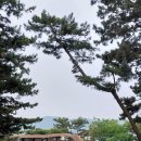 상화원한네트 이미지