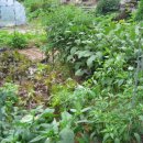 평강농장 이미지