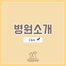 마곡M동물의료센터 이미지