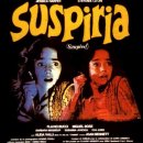 [天空]서스페리아 [Suspiria 1977년 이탈리아] 이미지