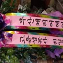 축하화분 이미지