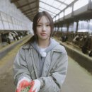 혜인농장 이미지