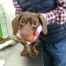 효정공원 이미지