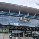 부산 2박 3일 일정 코스 추천 뚜벅이 내돈내산 후기