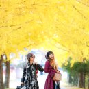 은행나무1길 이미지