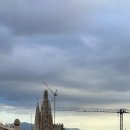 가우디매점 | [바르셀로나] 팔로우미투어 가우디 마스터패스 투어 솔직후기 _ 까사밀라 / 까사바트요 / 구엘공원 내부...