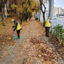 세교초교 사거리 이미지