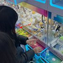 부천준동물병원 | 가톨릭대 부천성모병원 코뼈 골절 수술(비관혈적 정복술) 후기