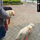 복대박 네이버블로그
