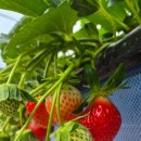 (주)부농산업 이미지