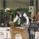 서울인터내셔널 이미지