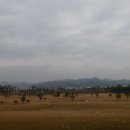 행복호