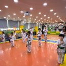 학사태권도 이미지