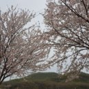 F8021 네이버블로그