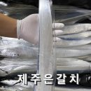 제주수산어벤져스 이미지