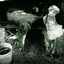 샐리(sally) 이미지