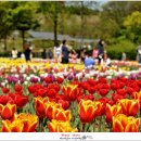 자연생태공원 자연생태박물관 이미지