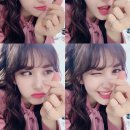 쏨 Daum카페