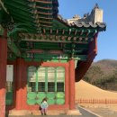 인현목장 네이버블로그