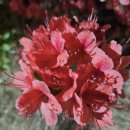 정가대박집 이미지